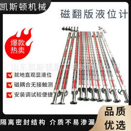 高温高压磁翻板液位计 配套远传变送器 电力罐体液位测控仪表