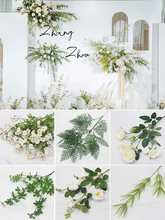 25��Gֲ�~�ӻ�c����ɭϵ�Gɫϵ�ٻ��~�����~�b��߼٘��~