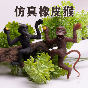 �羳�¿�TPRܛ�z������߸�Ц���ܵ�С���Ӓ��ܛ�z����ģ��