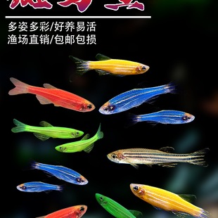 ���R�~С�͟Ꭷ�^�p�~���B�ͻ���~�t�G���Ƶ�ˮȺ���~�����~��