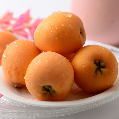 Loquat Sichuan Province Panzhihua Miyi Pipa fresh pregnant woman fruit Large fruit Season 1/2/3 Jin Office