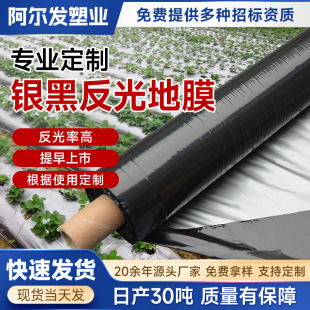 Black Agricultural Mulch Film for Weed Control, Thickened Pe Film with Perforations, Biodegradable Plastic Sheet for Growing Vegetables and Preventing Weeds