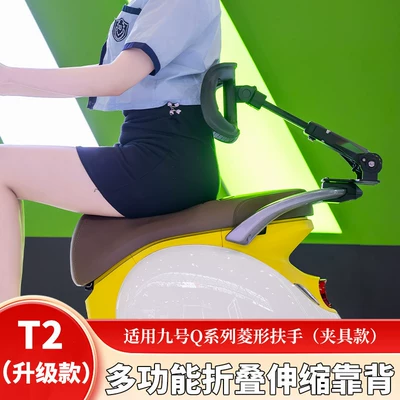 Vehicle Lumbar Support Backrest, Electric car rear backrest - no9-q-series-second-generation-default-item