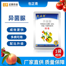 包正青异菌脲西红柿番茄早疫病桃树褐腐病辣椒立枯病果蔬菜杀菌剂