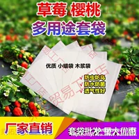 Вишневые мешки для клубники, специальные мешки для вишен и инжира, защищенные от насекомых, птиц, водонепроницаемые, защищенные от дождя и бактерий.