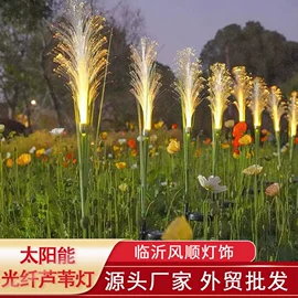 景观灯;太阳能灯;草坪灯
