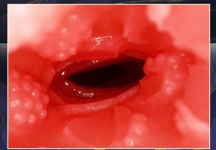 Shan Hai Jing Fox Spirit Male Masturbator, Manual TPE Hip Replica, Flesh Tone — detail image 22