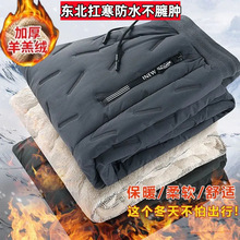 超厚冬季羊羔绒加绒裤子男防水防风裤男女保暖裤户外休闲居家棉裤