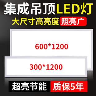 ���ɵ��600x1200ledƽ���30x120�X�۰�ʯ���Ƕ��ʽ�컨����