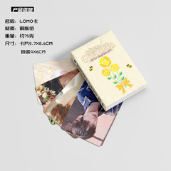Ding Chengxin Mini Card, Pack of 55 57x86mm TNT Era Merchandise Laser Lomo Holographic Cards & Postcards