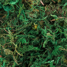 ̦�\�ɲ��o���  ��䁙�����Ƥֲ���b�΢���^����ˮ�ݲ�Ƥ�߼���