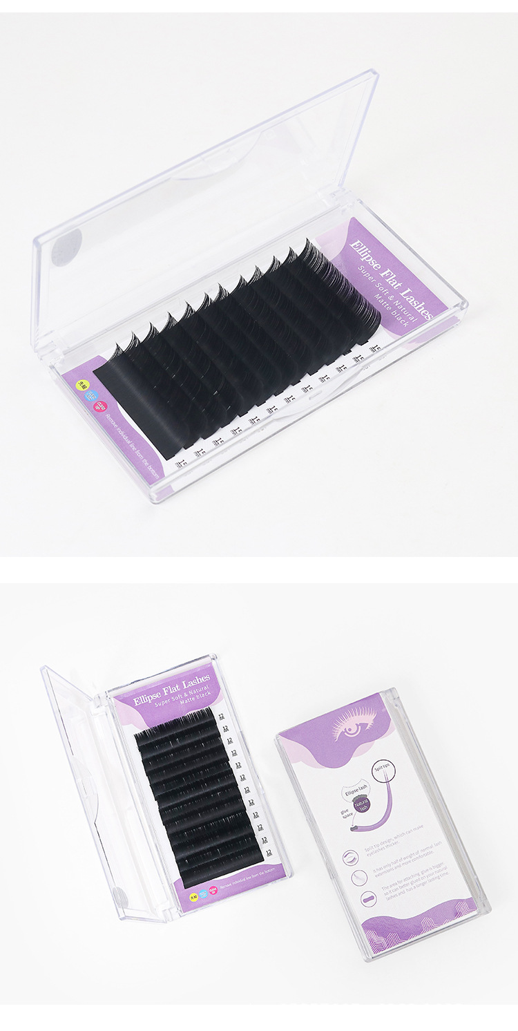 双尖扁毛睫毛 双尖扁毛睫毛