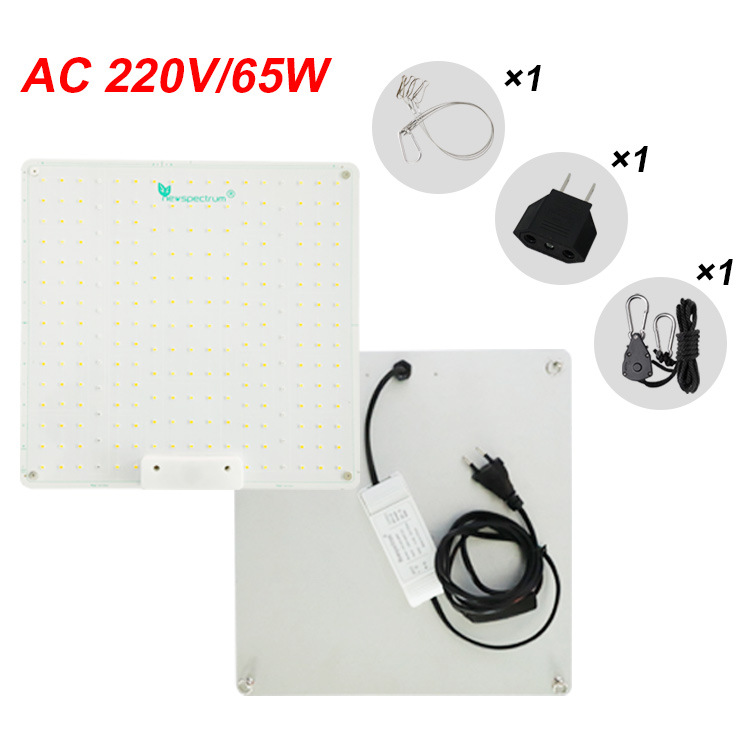 AC 220V/65W