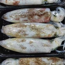 ���~�r����������~��ֻ�������������F�����ú��rˮ�a��������
