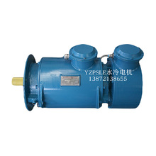厂家三相水冷电机TZJNP315S-6/75KW中冶锅炉YZPSL变频高速电机