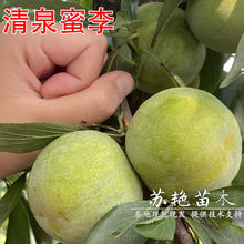 �۴���������Ȫ������޽�Ó�����Ә�����Ʒ�N��ľ�Ϸ����~����