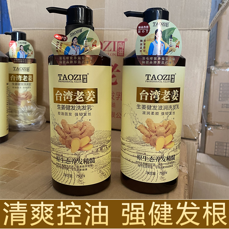 Genuino Tao Zi Taiwán jengibre champú de control de aceite para el cabello saludable sin aceite de silicona jengibre natural para prevenir la pérdida de la caspa