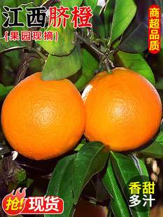 �������rĚ��9�����ˮ�������ք��������ӱ����M����ȴ��10