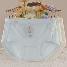 2025�¿��H�w��п�����������ѝ���°���͸��10AĪ�R���יn��ѝ