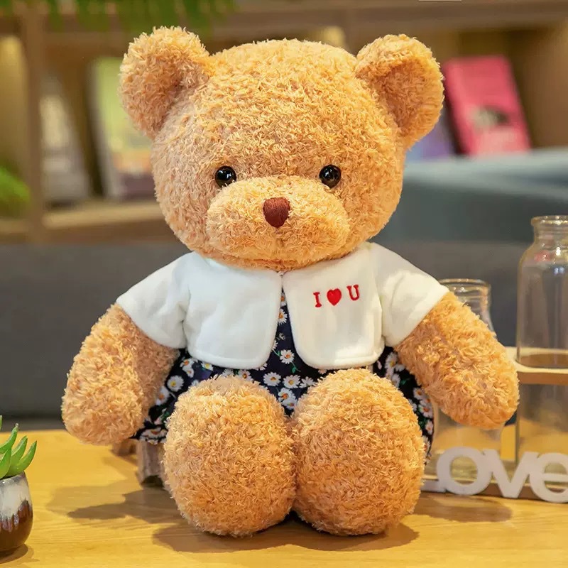 Teddy Bear Teddy Teddy