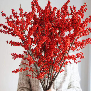 ����t���r��ֱ����������lؔ��������֦�������������l�����滨