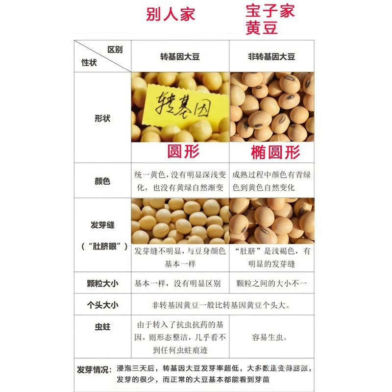 大豆農家 自家産豆乳専用大豆 非遺伝子組み換え古品種大豆 生豆もやし 2.5kgパック|undefined