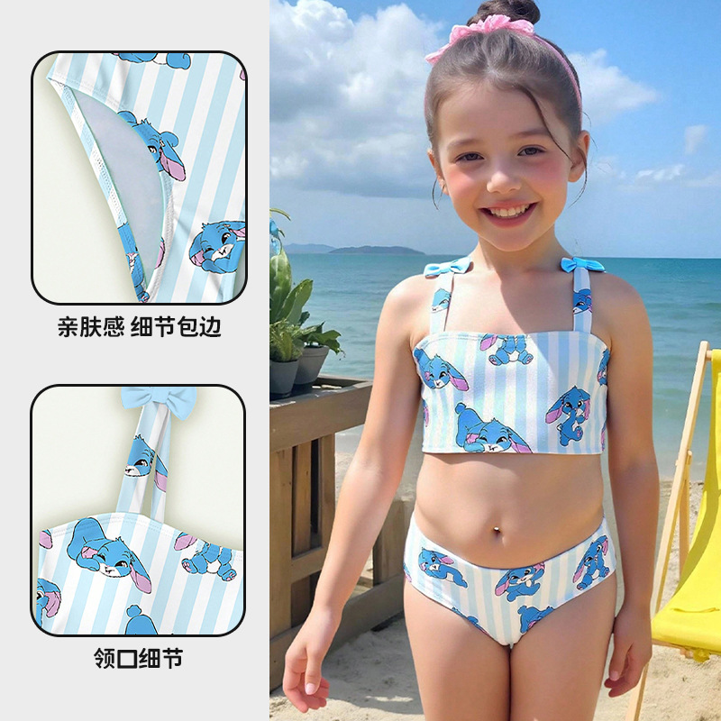 2025 Girls Swimsuit Wholesale Cross-Border Foreign Trade Cute Baby Hot Spring Beach Cartoon Children's Split Swimsuit