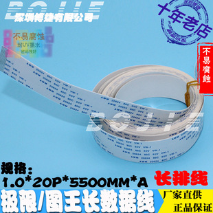 �O���w�v��Խ����Ұ�D��̩��˹���L�C�L�ž�20о�������^������