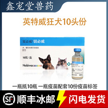 英特威狂犬宠物犬猫狂犬疫苗病毒预防正品锐必威幼犬育苗狗狗成犬