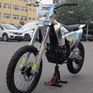 Xingguizun H26-YB300H Small Powerful Off-Road Motorcycle with Large Cylinder Head Engine, Mid-to-High-Level Competition Track Bike