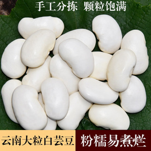 ����خa���ܿ����؛���������㻨���ּZ��ʳ���Ͷ���녶���Ŵ