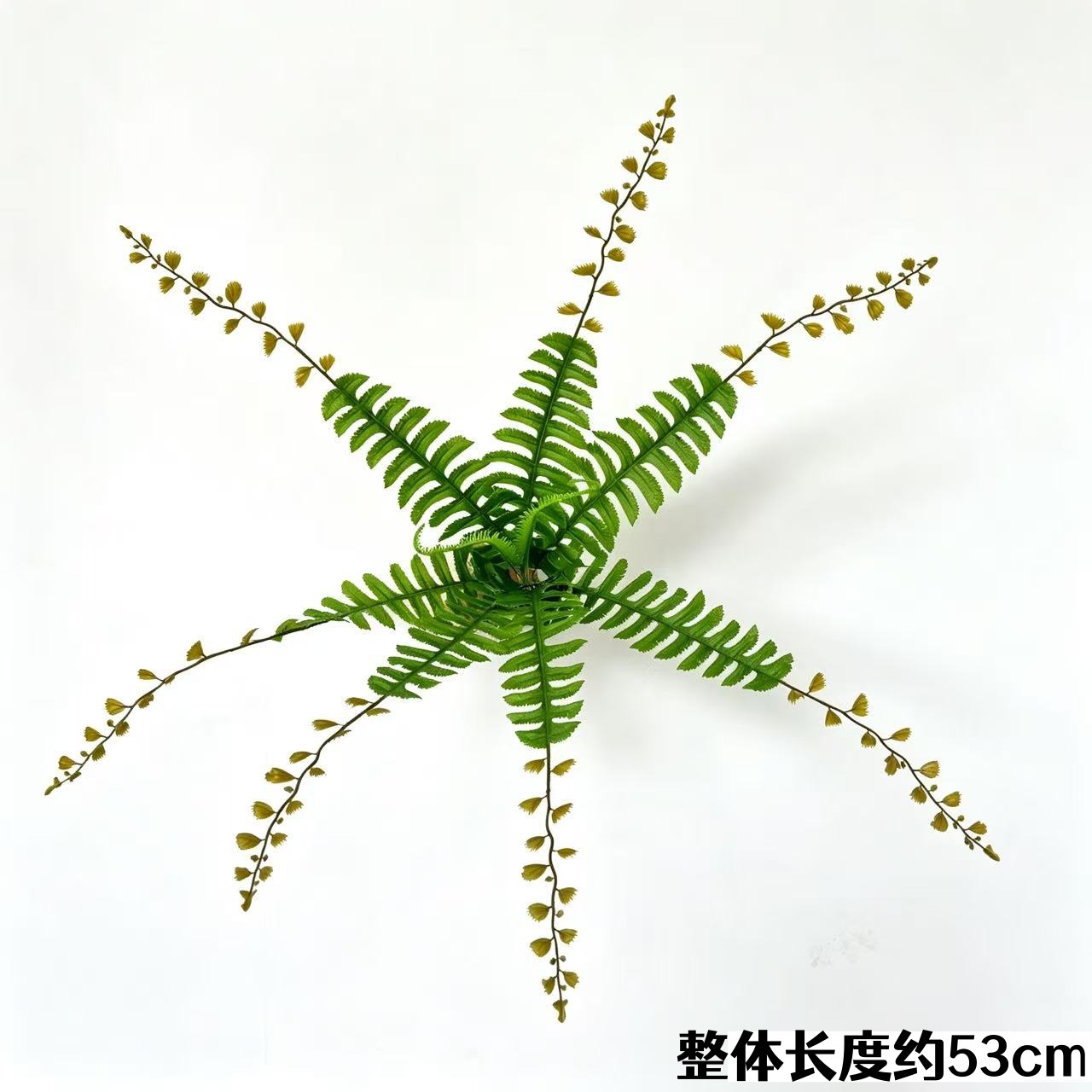 9頭ヒゲペルシャ草（ライト）