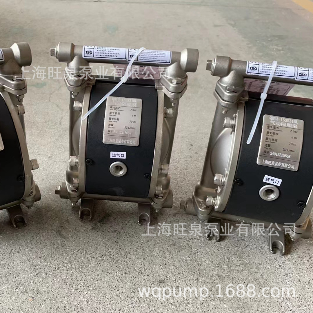 �Ϻ���ȪQBY3-15SS316L������Ĥ�á�����ʽ���������������Ĥ��