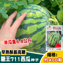 ���g����711���ϷN�� �t���ִ���� �������������8424������