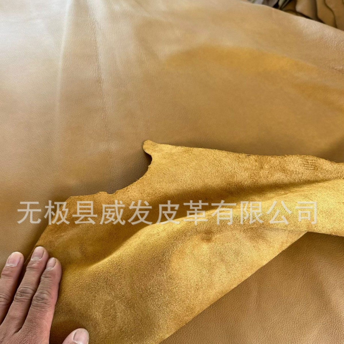 黄牛皮防火阻燃牛皮，各种厚度装饰牛皮沙发皮手套革迷你服装革