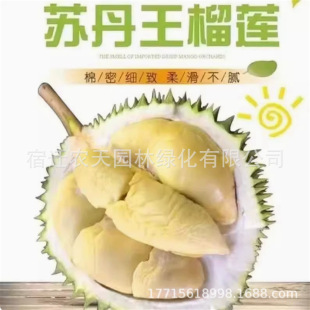 ̩��������ɏ�K����؈ɽ���������ϱ����Nֲ�ļ����Ե��Ԯ���Y��