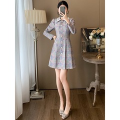深圳南油法式小众设计感长袖连衣裙女2025秋季新款收腰显瘦A字裙