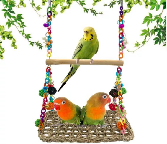 Toy, acrylic swings, can bite, can climb