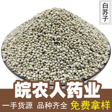 白苏子500g克玉苏子白苏子白苏子白苏子紫苏子中药材大全代发批发