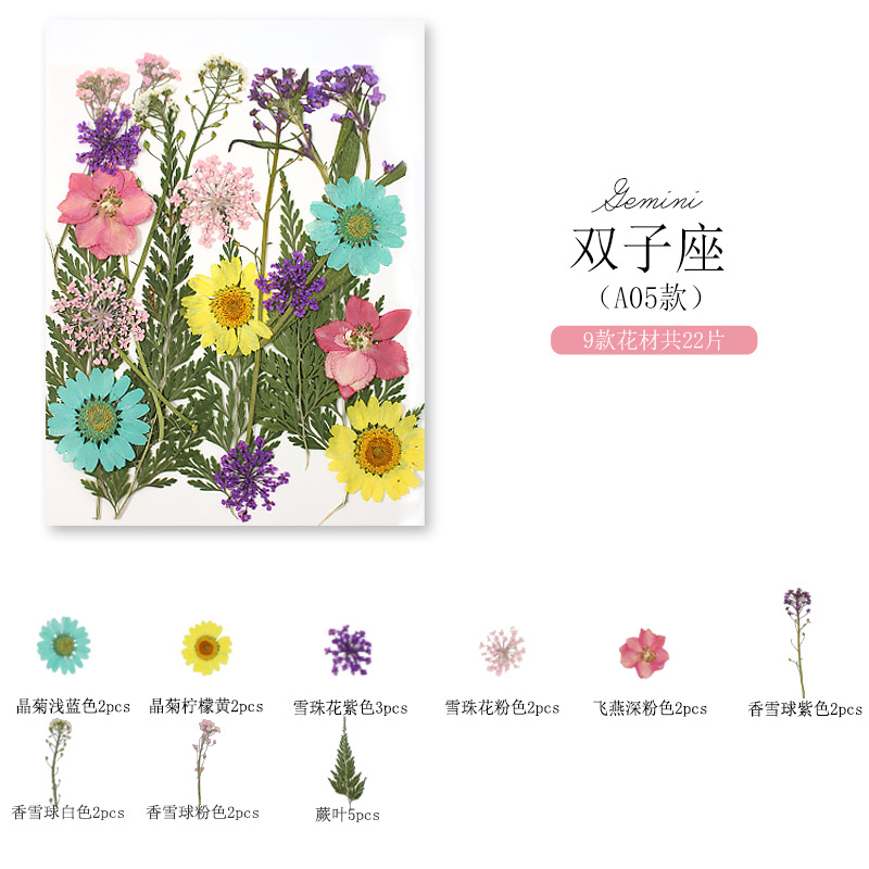 쌍둥이 자리 (A05)