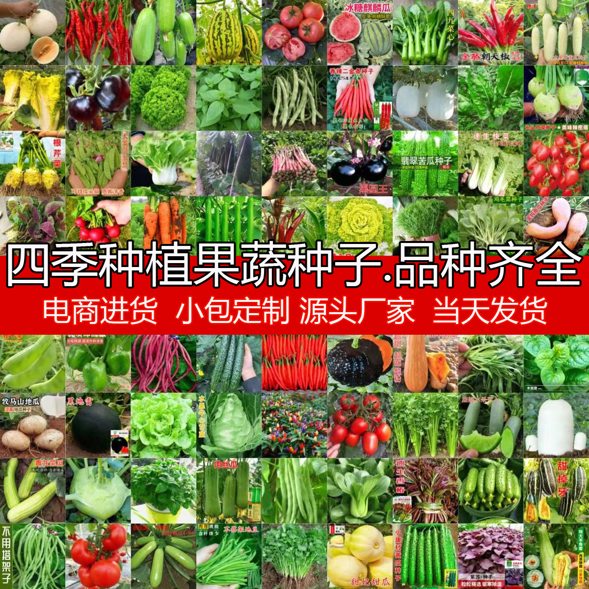 批发四季蔬菜种子大全室内外阳台庭院播种香菜生菜草莓辣椒菜种子