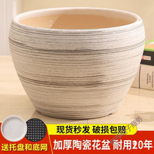 �����մɻ��躆�s�ŵ��L��̖�҃�����ض����m���Gֲ�����ش�ڏ�