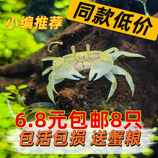 ����з����з�^�pз���c�����~��ȸ�~�r���R�~���B�Ԝu�x������w