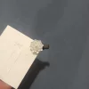 A lotus