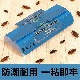 防虫防蛀;灭蟑用品;苍蝇拍