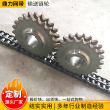 大节距输送链条链轮 单双排机械配件工业链条不锈钢链轮工业链轮