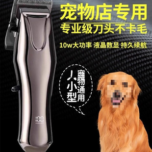 ���I���ﹷ����ë����Ƽ���������ӹ�ë�������Ȯ��Ƽ�