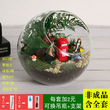 微景观diy材料多肉植物苔藓生态玻璃瓶盆栽绿植微观造景礼品套装