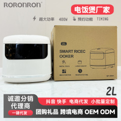Rise cookeクロスボーダー専用2lスマートミニ炊飯器小型多機能全自動予約炊飯器