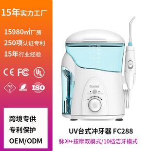 Customized Home Desktop Dental Rinser, Electric Portable Waterproof Smart Hot Style Dental Rinser to Remove Stones